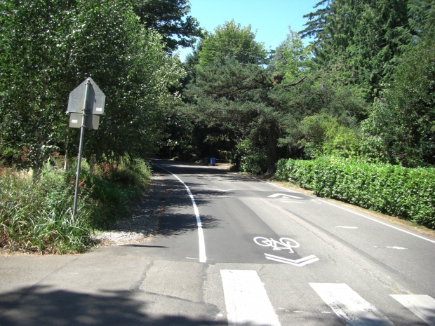 Class III Bikeways Sharing the Lane CalBike